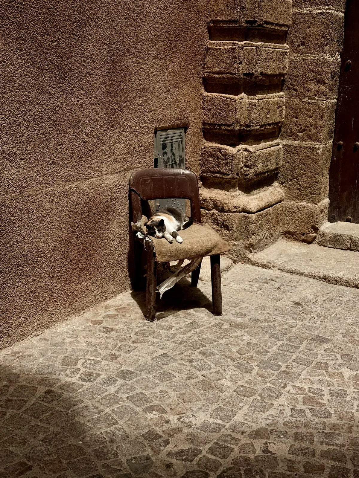 Chat endormi sur une vieille chaise dans une ruelle pavée et ensoleillée de la médina d'Essaouira