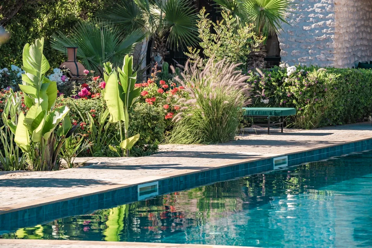 Poolside surrounded by a lush tropical garden with banana trees and colourful flowers